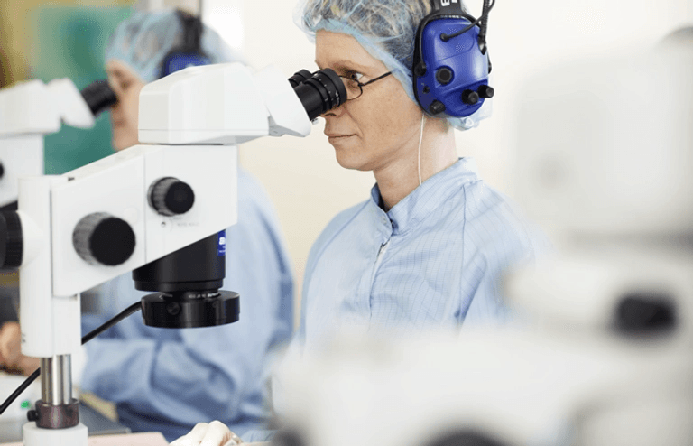 Employees looking in microscopes