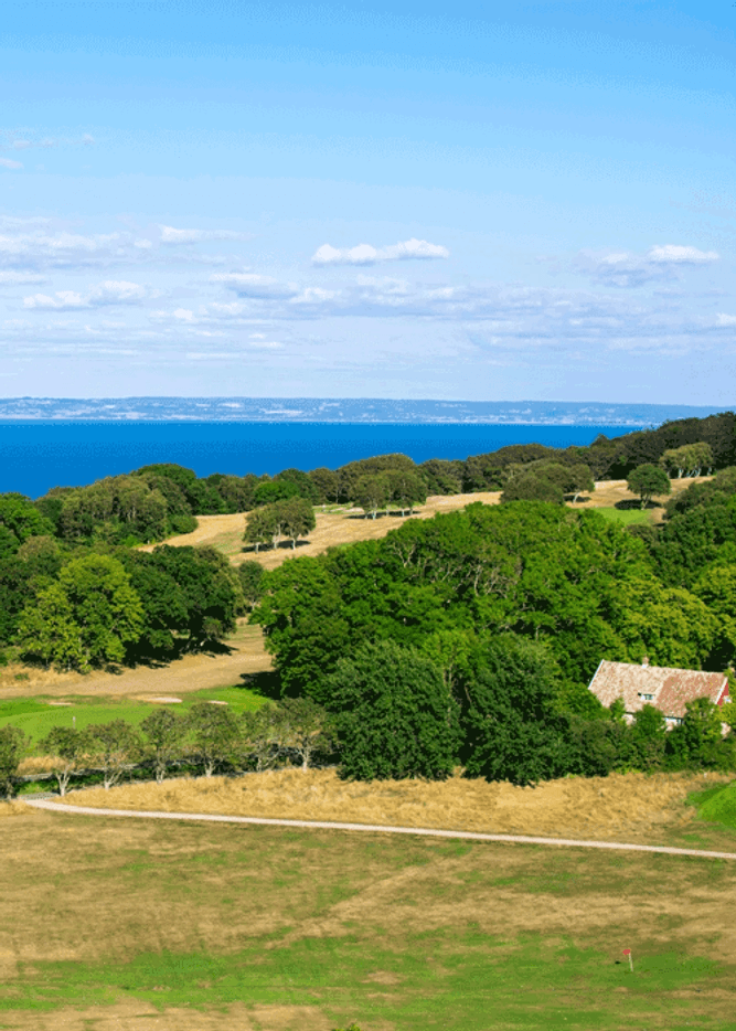 Swedish landscape