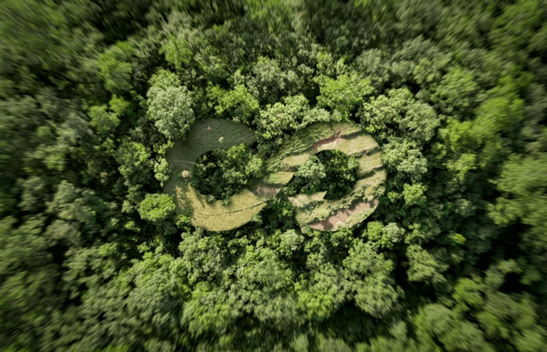 Forrest image.