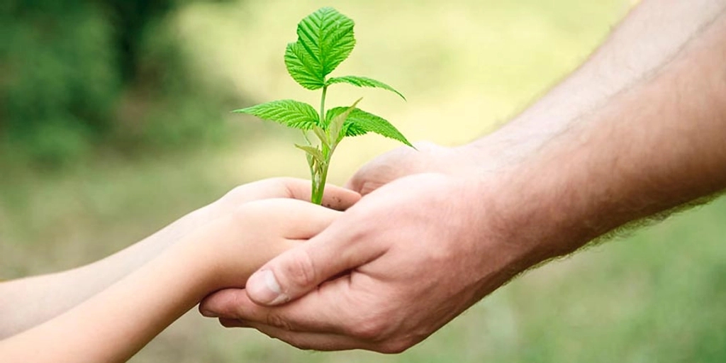 Nolato Sustainability - man and child holding green plant